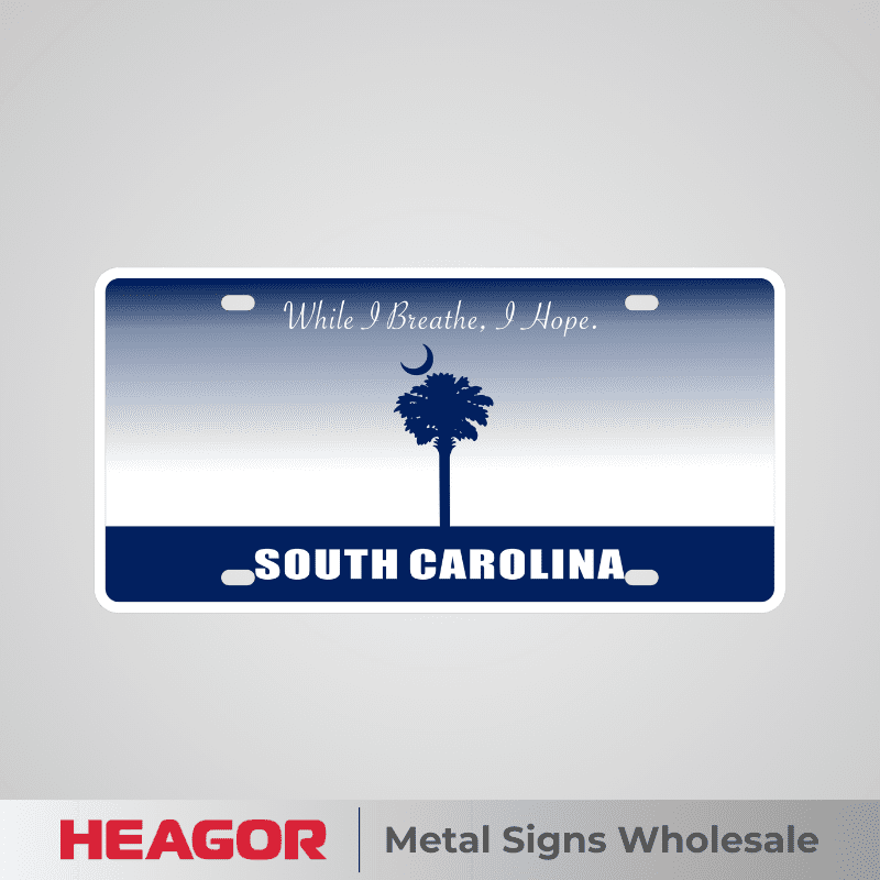 south carolina blue car tag blank